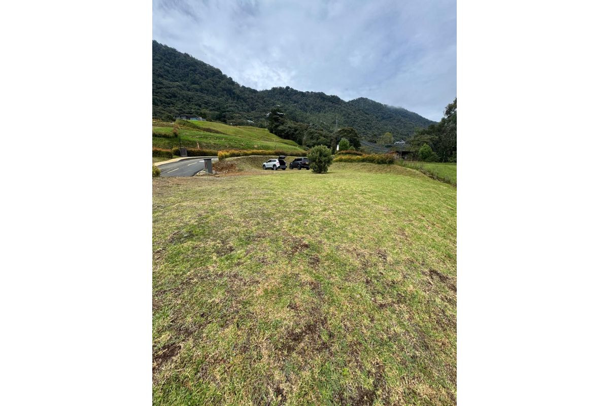 Imagen 5 de LOTE PARA CONSTRUIR LA CASA DE TUS SUEÑOS, SECTOR EL TABOR VÍA LA CEJA ✨