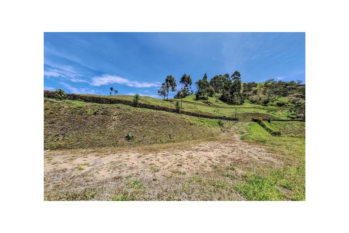 Imagen 3 de 🍃LOTE EN EL PEÑOL- ACCESO PRIVADO A REPRESA 🍃