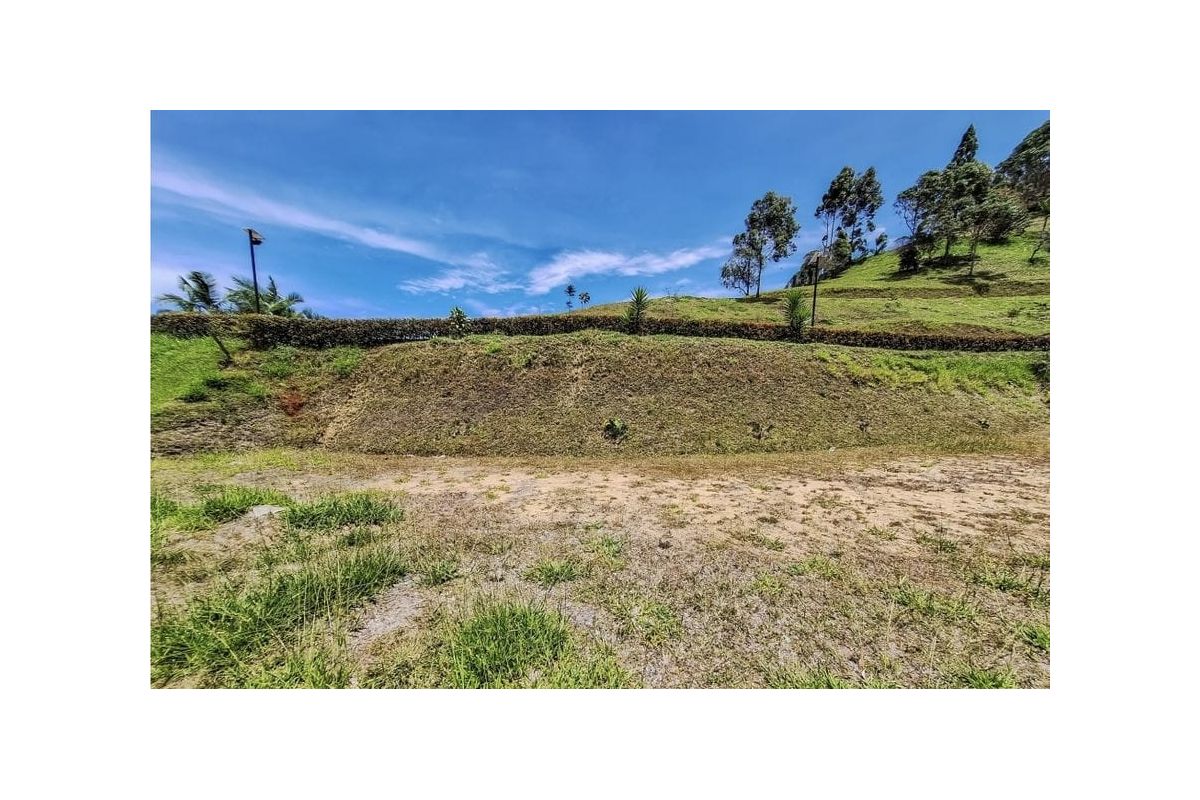 Imagen 5 de 🍃LOTE EN EL PEÑOL- ACCESO PRIVADO A REPRESA 🍃