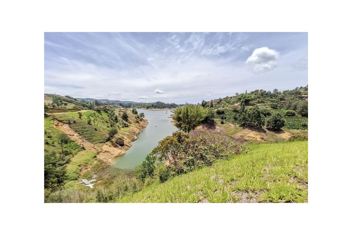 Imagen 9 de 🍃LOTE EN EL PEÑOL- ACCESO PRIVADO A REPRESA 🍃