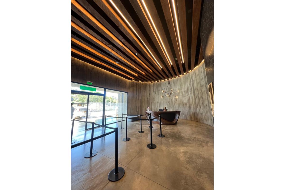 Imagen 10 de LOCAL OFICINA EN LEMONT PALMAS